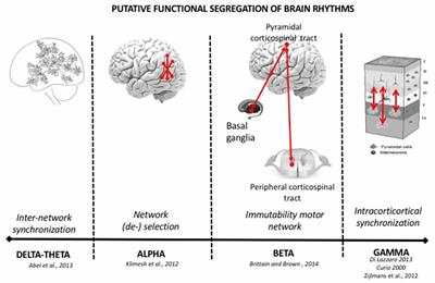 Oscillatory Activities in Neurological Disorders of Elderly: Biomarkers to Target for Neuromodulation
